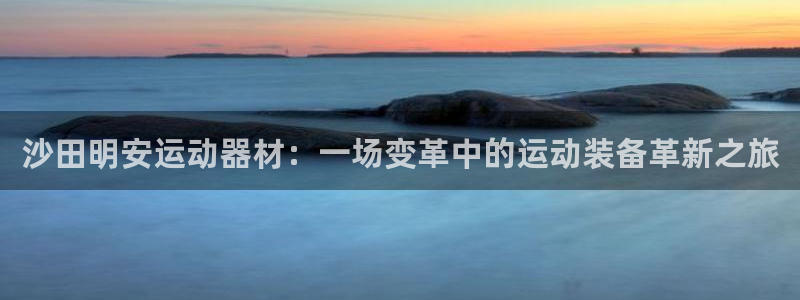 xk星空体育官方正版app新能源:沙田明安运动器材:一场变革