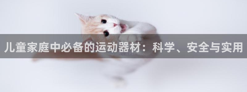 xk星空体育官网下载平台假的吗是真的吗吗:儿童家庭中必备的运